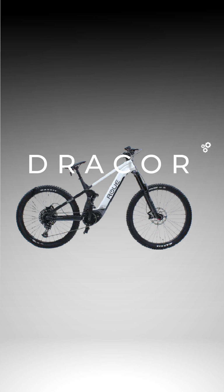 Bicicleta Eléctrica DRACOR