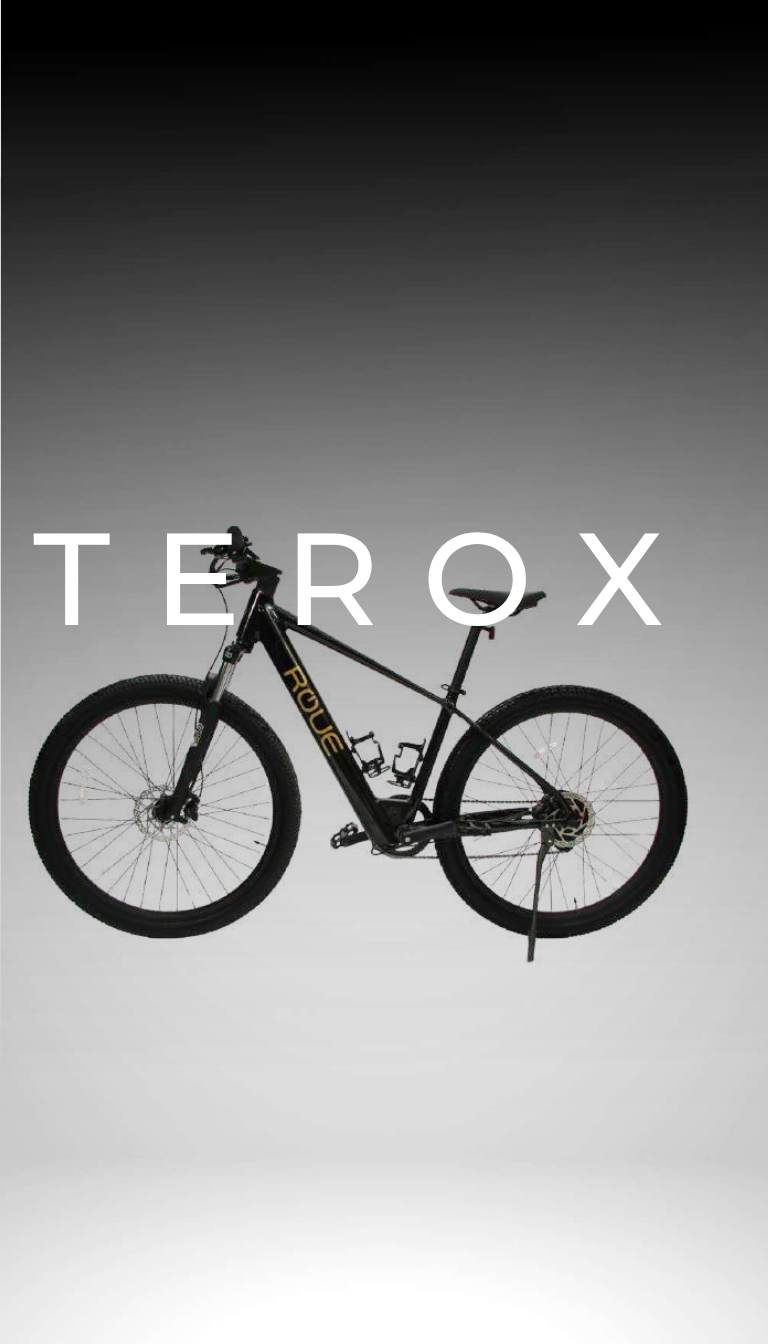 Bicicleta Eléctrica TEROX