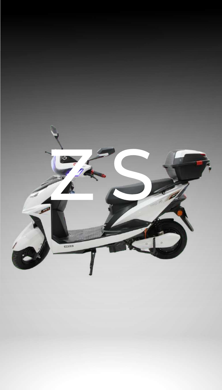 Moto eléctrica ZS