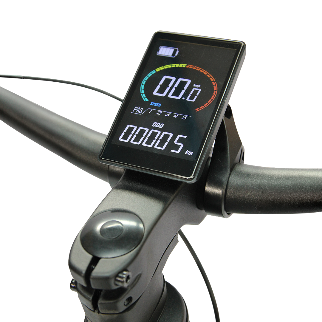 Bicicleta Eléctrica TEROX